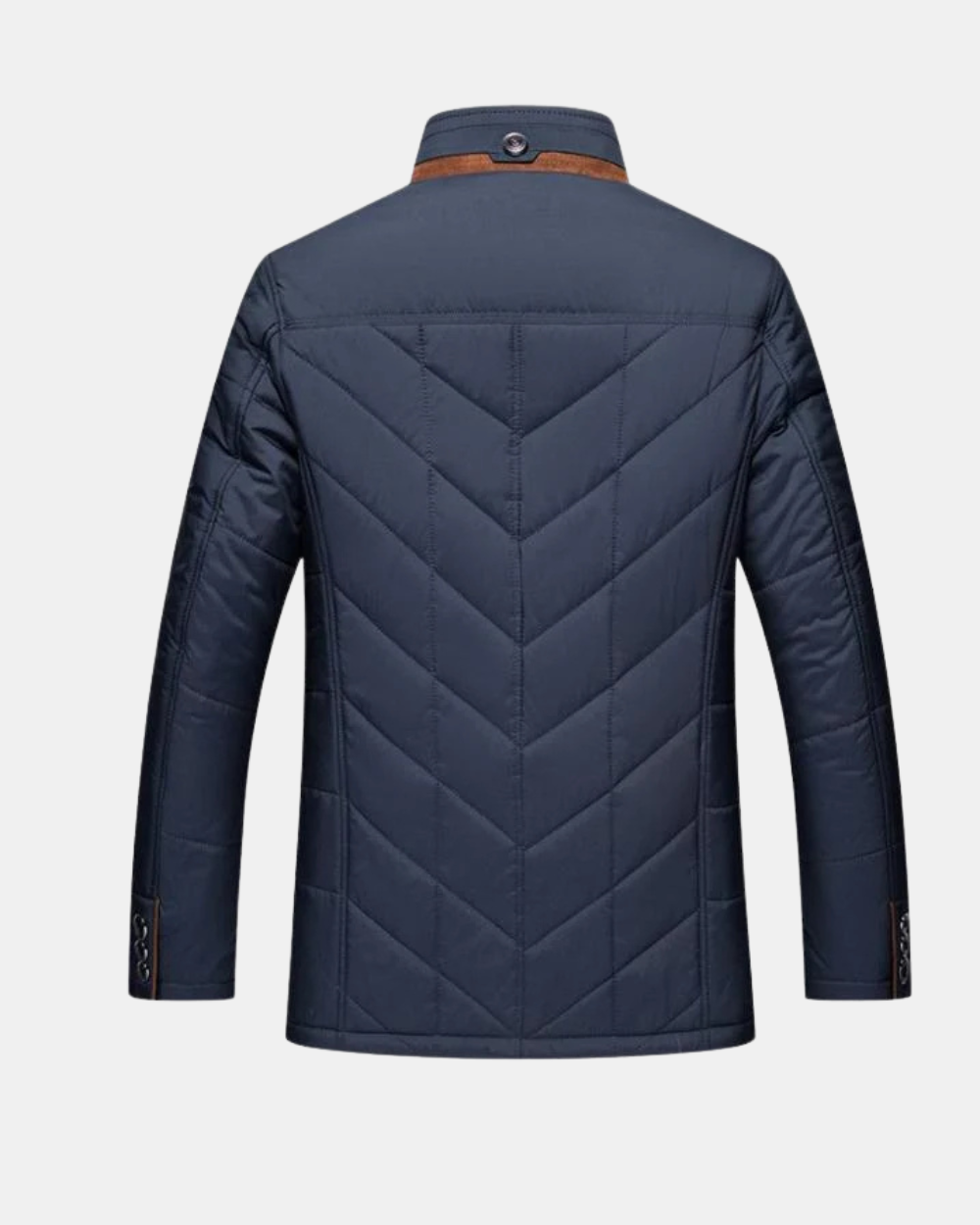 Herren Businessjacke in Blau, Rückenansicht